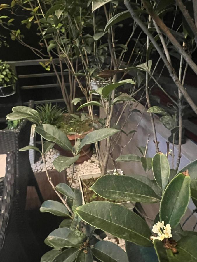 Sunflower Homestay هاي فونج المظهر الخارجي الصورة