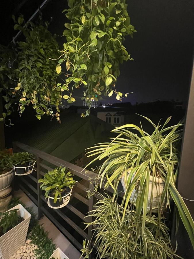 Sunflower Homestay هاي فونج المظهر الخارجي الصورة